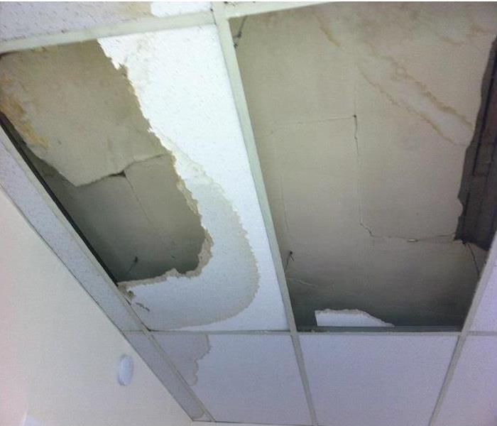 holes, water damaged ceiling in tiles and above