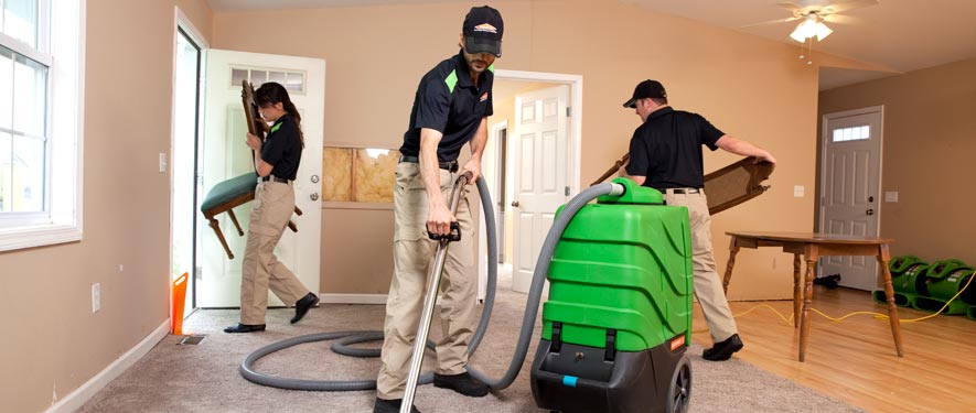 Newark, CA cleaning services